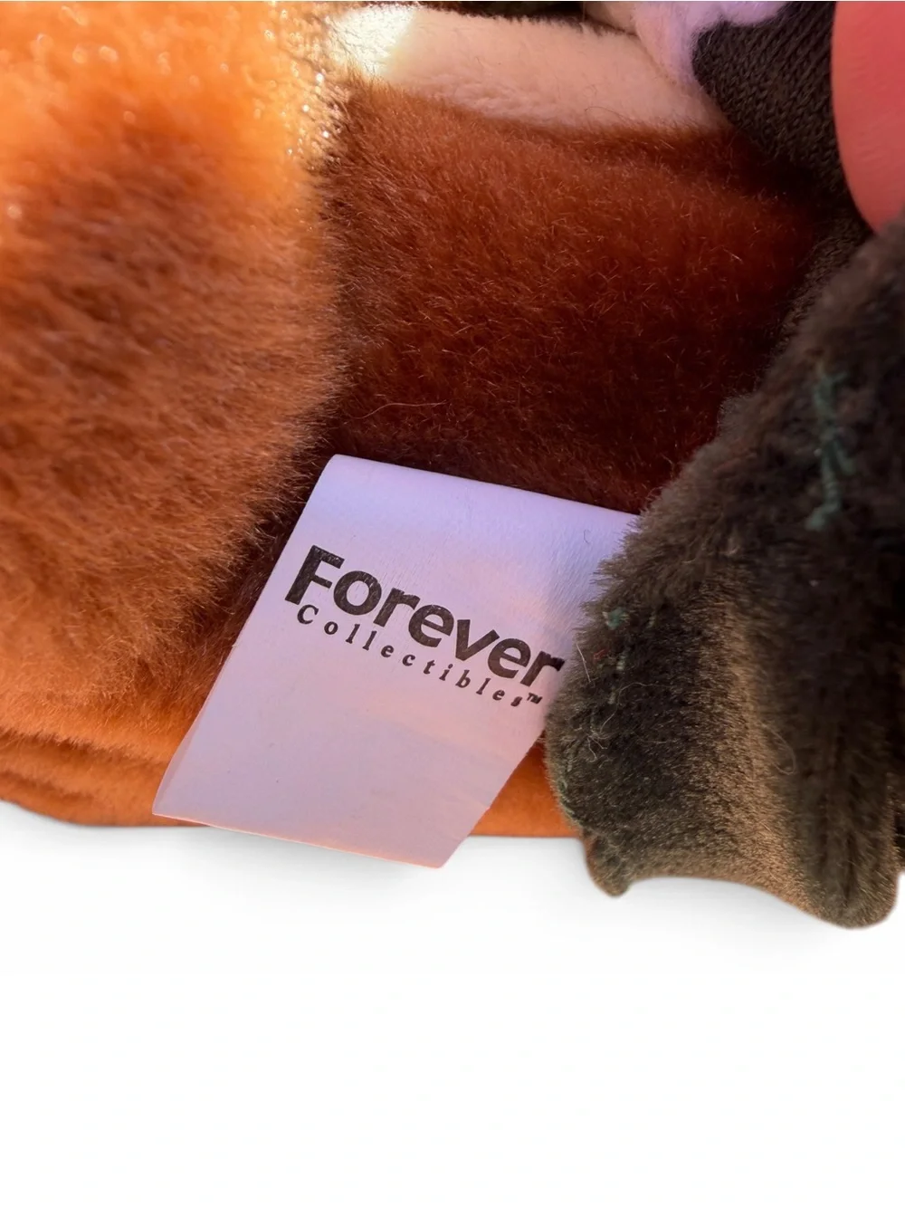 Forever Collectibles green bay